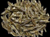 ANCHOIS SECHE 100 GR AVEC TETE 100GR X 10