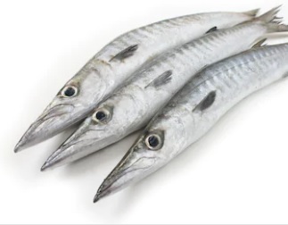 Barracuda entier vidé ecaillé calibre 500/1000 - 10kg - prix au kg