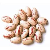 Haricots coco rose TERSOL 1kg